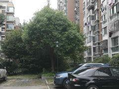 林苑照片,自然画卷中的宁静角落