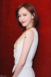 傅俪人个人资料照片,光影交织下的魅力女神