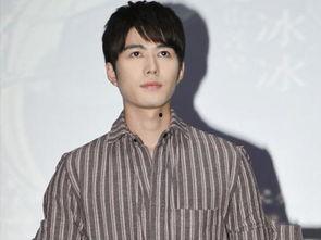 姓许的明星,许姓明星的璀璨人生