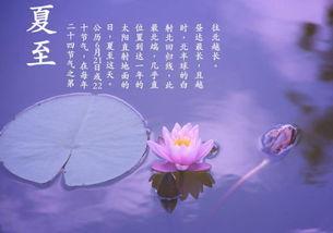 夏至资料,太阳最盛，万物生长的极致时刻